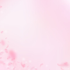 Obraz na płótnie Canvas Sakura petals falling down. Romantic pink flowers corner. Flying petals on pink square background. Love, romance concept. Rare wedding invitation.
