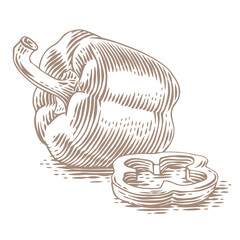 Drawing of red pepper