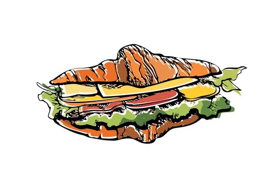 Croissant sandwich coloured sketch, isolated hand drawn image