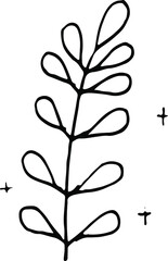A twig of a tree, a plant. A simple doodle illustration drawn by hand.
