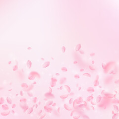 Sakura petals falling down. Romantic pink flowers gradient. Flying petals on pink square background. Love, romance concept. Stylish wedding invitation.