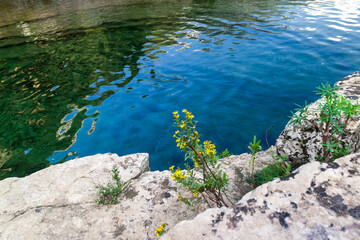 River in natural reserve