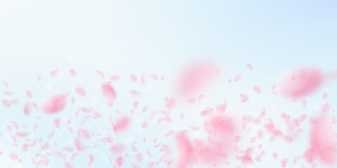 Sakura petals falling down. Romantic pink flowers gradient. Flying petals on blue sky wide background. Love, romance concept. Memorable wedding invitation.