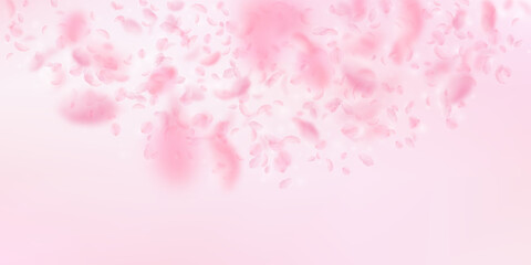 Fototapeta na wymiar Sakura petals falling down. Romantic pink flowers semicircle. Flying petals on pink wide background. Love, romance concept. Quaint wedding invitation.