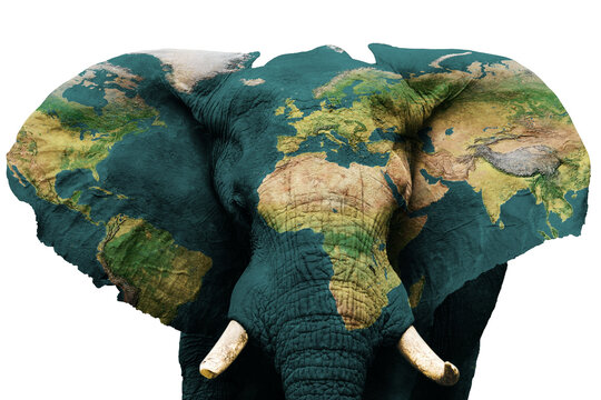 Isolated image of elephant with earth painted on skin.