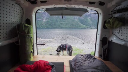Hungry Alaskan Malamute Eating Next To A Camper Van Near Katthammaren, Norway. Medium Shot