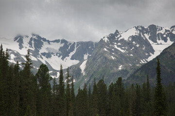 Dark forest against a gloomy mountain peak, Altai