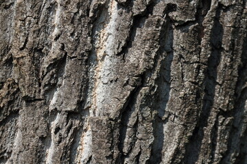 texture
