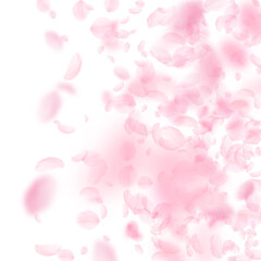 Sakura petals falling down. Romantic pink flowers gradient. Flying petals on white square background. Love, romance concept. Stylish wedding invitation.