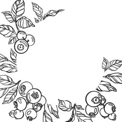 Berries wreath. Outline black and white drawing for card, invitation