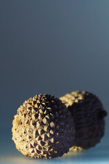 Close-up of two dried lychees isolated on grey background