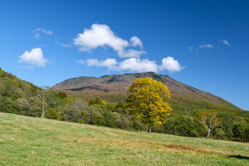 Fototapeta premium 黒姫山の雲