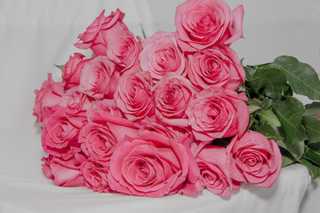 Large Beautiful Bouquet of Pink Roses on a White Background.