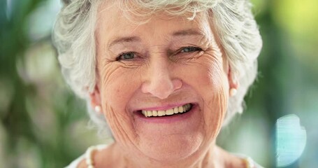 Retirement suits me. Smiling senior woman alone. Happy retired elderly woman with grey hair, positive, content, looking at camera, enjoying, head shot, face expression, closeup and zoom, portrait, age - Powered by Adobe