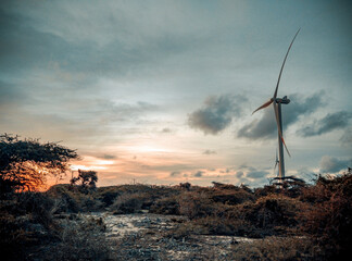 wind turbine at sunset