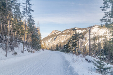 Snowed road to Morskie Oko Lake in Tatra mountains in winter in Tatra National Park.