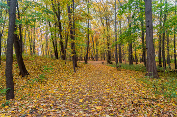 Park Brzeznienski in autumn time in Gdansk, Poland.