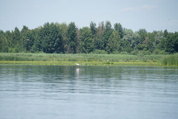 the river in the country
