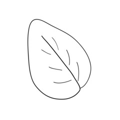 Handmade floral elements and flowers. Vector doodle illustration.