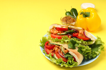 Concept of tasty food with pita with chicken, space for text