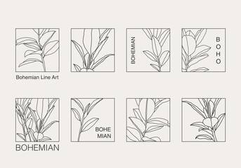 Minimalist botanical line art plant with leaves abstract collage