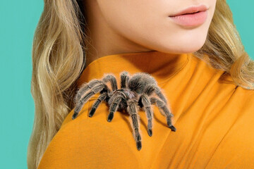 Tarantula on Shoulder