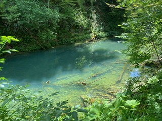 Protected landscape of the small river Kamacnik in Gorski kotar - Vrbovsko, Croatia (Zaštićeni krajolik rječice Kamačnik u Gorskom kotaru - Vrbovsko, Hrvatska)