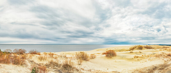Sand dunes of the Curonian Spit in the cloudy weather with the sky covered with clouds on the shore of the Curonian Bay