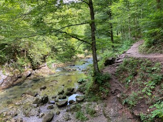 Protected landscape of the small river Kamacnik in Gorski kotar - Vrbovsko, Croatia (Zaštićeni krajolik rječice Kamačnik u Gorskom kotaru - Vrbovsko, Hrvatska)