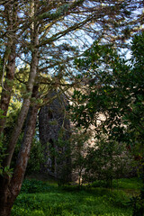 Chiesa del comune di Ghilarza, provincia di Oristano, Sardegna