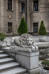 przepiękny kamienny posąg odpoczywającego lwa - obrazy, fototapety, plakaty