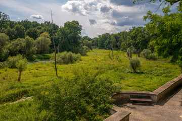 Widok z tarasu na dziką łąkę w parku