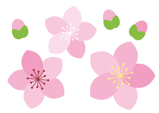 桃の花アイコンイラスト01