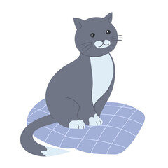 Cartoon cute gray cat on a pillow. Home pet. Vector isolated illustration