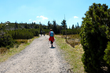 Obraz premium Tourists climb the mountain on a sunny summer day. Climbing the mountain. Healthy lifestyle.