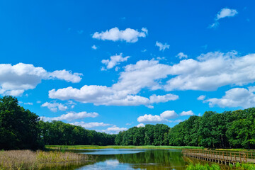 Obraz na płótnie Canvas Picturesque little lake on a sunny day.