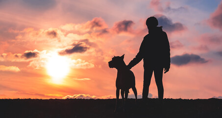 Silhouette of a girl with a big dog at sunset