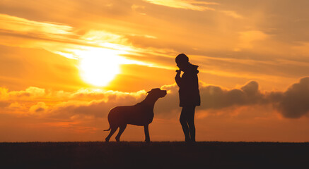 Silhouette of a girl with a big dog at sunset