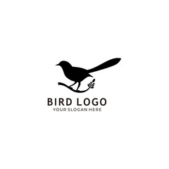 Bird logo design icon vector silhouette illustration