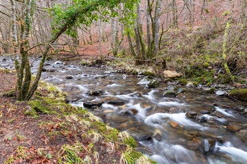 Obraz premium Arga Regatta. Quinto Real