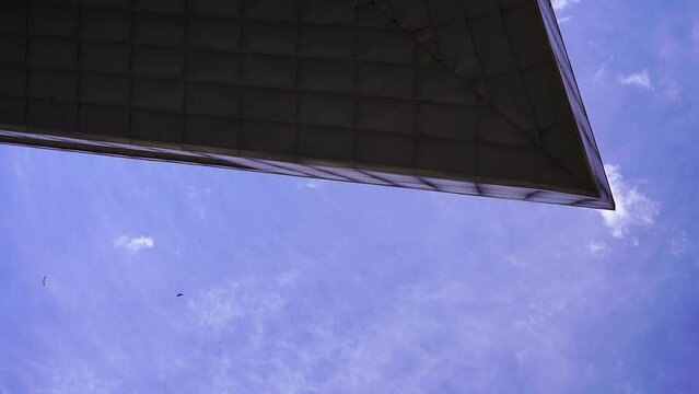 vista nadir de edificio con aves