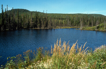 Fototapeta premium Réserve faunique des Laurentides, Quebec, Canada