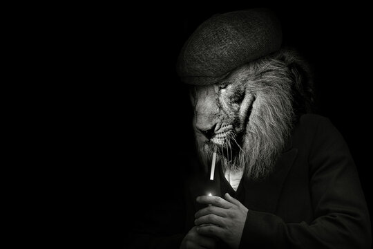 Man in the form of a Lion mammal Mafia style smoking , The Lion person , animal face isolated black white , Peaky Blinders
