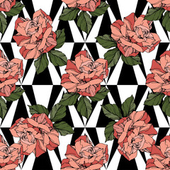 beautiful vector roses floral botanical
