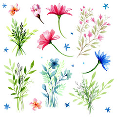 Fototapeta premium A set of paintings of spring flowers and bouquets, hand-painted with watercolors on a white background.