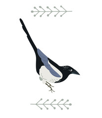 Hand drawn magpie bird in flat style decorated with folk plants, isolated vector illustration