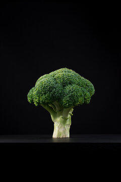 Florete de br&oacute;coli fresco. &Aacute;rbol de br&oacute;coli sobre fondo negro	