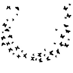 Fototapeta na wymiar on a white background flying butterflies silhouette ,on a white background, vector