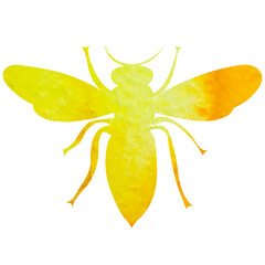 bee watercolor silhouette ,on white background, vector