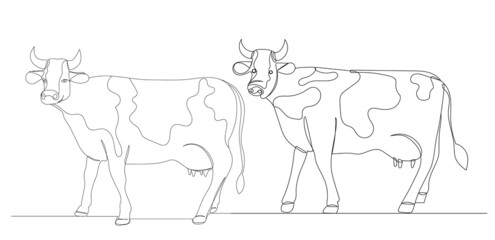 cows in one line, outline, vector, isolated